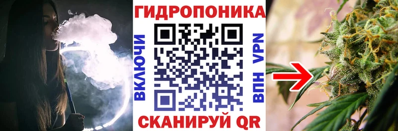 Бошки Шишки THC 21%  наркотики  Мензелинск 